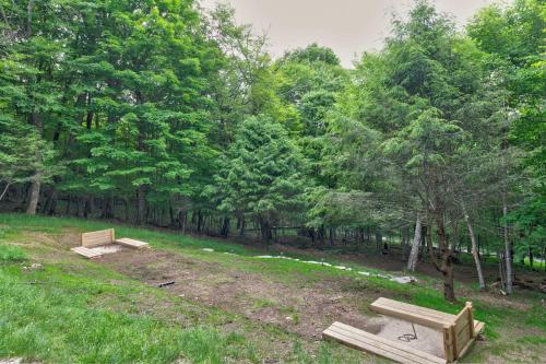 two benches in a park with trees in the background at Cardinal Perch in Beech Mountain