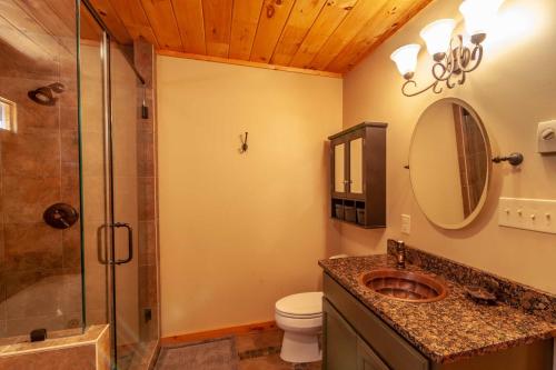 a bathroom with a shower and a sink and a toilet at Chestnut Falls in Beech Mountain
