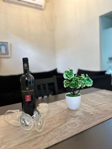 eine Flasche Wein und eine Topfpflanze auf dem Tisch in der Unterkunft בר יוחאי in Safed