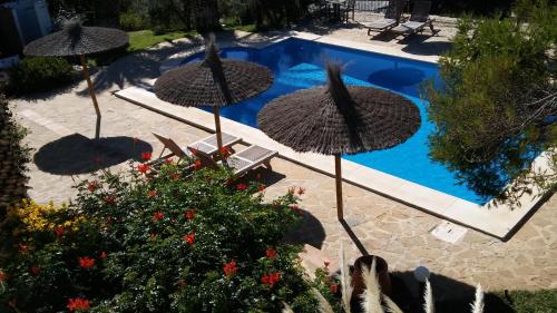 un grupo de sombrillas junto a una piscina en B&B Casa Domingo en Alora