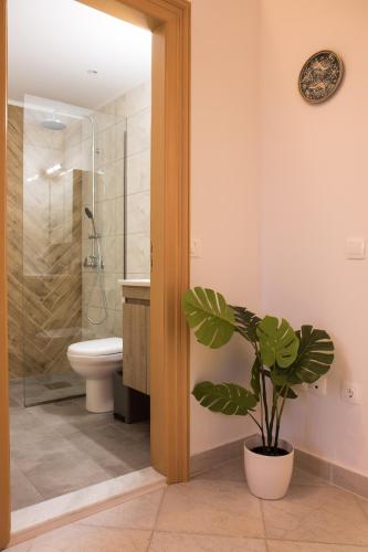 Niochori Heritage: The Mermaid Suite