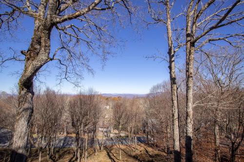 Lookout Lodge – Photos 2