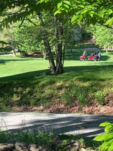 a golf cart with people in it parked next to a tree at Mountain Stay Chalet in Beech Mountain