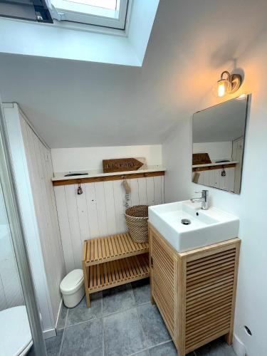 une salle de bain avec un lavabo, des toilettes et un miroir dans l'établissement Maison bord de mer ・La côtière・, à Piriac-sur-Mer