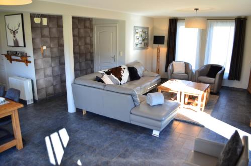 a dog laying on a couch in a living room at Gîte Wellness "Le Poirier" in Durbuy