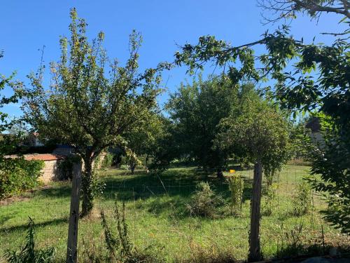 cabane bambou – Photos 4