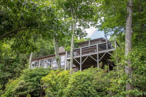 a tree house in the middle of the forest at Serendipity in Blowing Rock