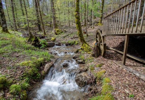 Serenity Creek – Photos 4