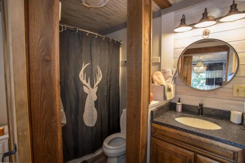 a bathroom with a toilet and a sink and a mirror at Skyleaf on Sugar in Sugar Mountain