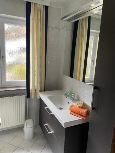 a bathroom with a sink and a mirror at Am Randersberg - Wohnung Nr 3 in Grossgmain