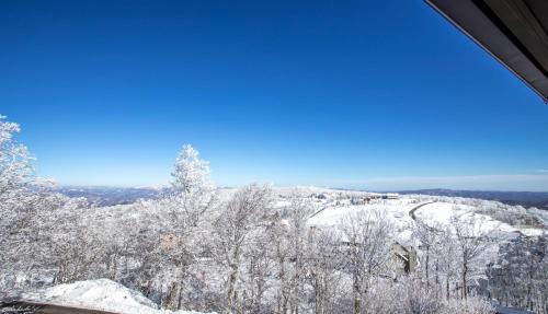The Ski Loft – Photos 3