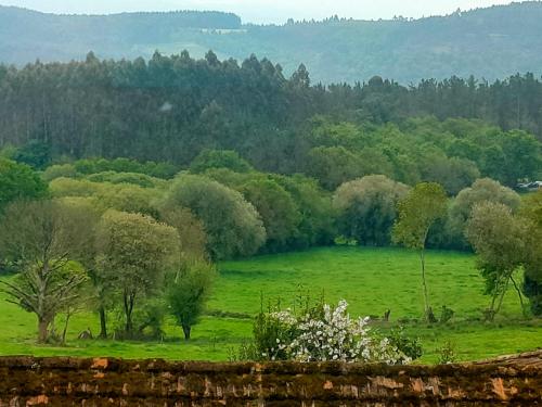 Phong cảnh thiên nhiên gần căn hộ