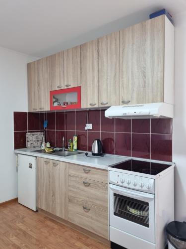 a kitchen with wooden cabinets and a white stove top oven at Pogled Vrdnik in Vrdnik