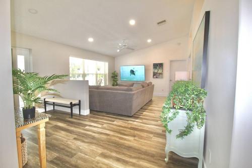 Dolphin House – Photos 4