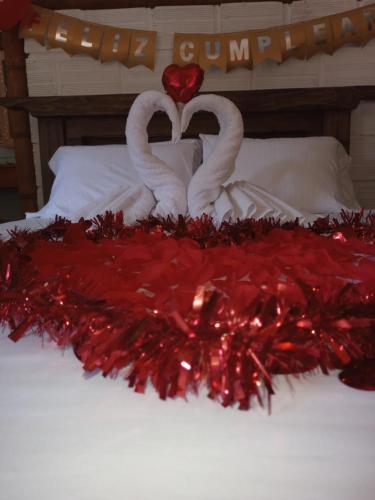 two swans making a heart on a bed with red flowers at Finca Ecoturistica LOS JAGUEYES in Baraya