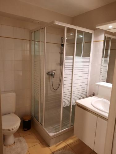 uma casa de banho com um chuveiro, um WC e um lavatório. em Apollo Duinzicht em Nieuwpoort