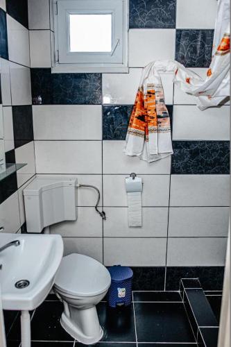 a small bathroom with a toilet and a sink at LaBebe - Vidraru in Arefu