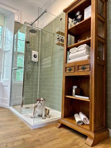 a bathroom with a shower with a dog sitting on the floor at Atholl Arms Hotel Dunkeld in Dunkeld
