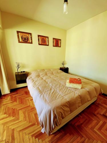 a bedroom with a large bed in a room at Pampa Downtown Lodge in Mendoza