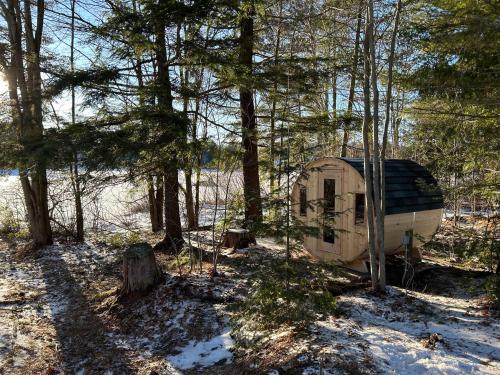 an old airstream trailer sitting in the woods at Perfect 3 bedroom waterfront muskoka cottage in Parry Sound