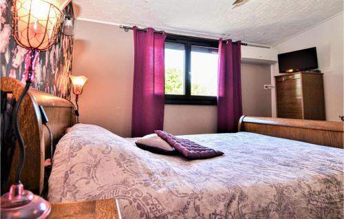 een slaapkamer met een bed met paarse gordijnen bij Amazing Home In Le Pontet With Jacuzzi in Le Pontet