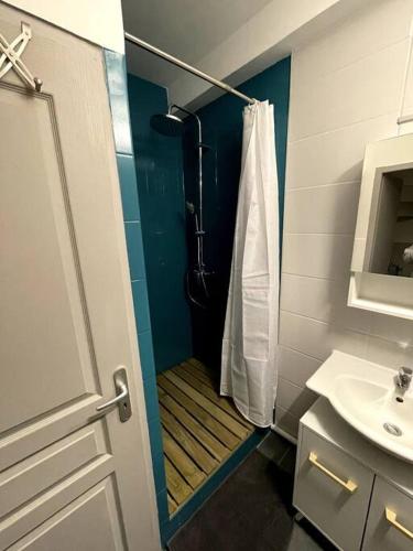 a bathroom with a shower and a sink at Jolie T2 au coeur des collines in Les Veyrières