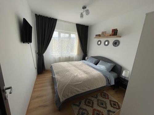 a bedroom with a bed with blue pillows and a window at Apartament Cina in Huşi