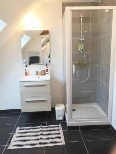 une salle de bain avec douche et lavabo dans l'établissement Charmante Maison Proche de Dinan -Dinard - St Malo, à Pleslin-Trigavou