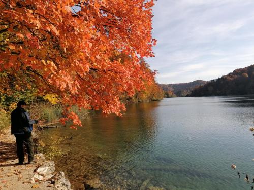a man standing on the shore of a lake at PLITVICE KONAK Daic in Plitvička Jezera