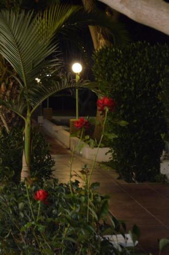 a street light in a garden with red roses at Apollon Hotel in Ancient Epidavros