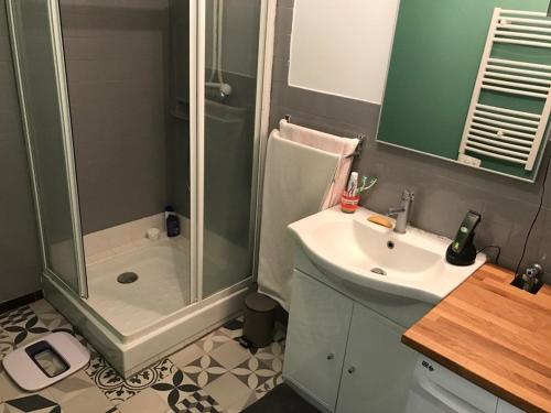 une salle de bain avec douche et lavabo dans l'établissement Appartement T2 climatisé avec balcon, WiFi et parking près du centre de Cavalaire-sur-Mer - FR-1-100-180, à Cavalaire-sur-Mer