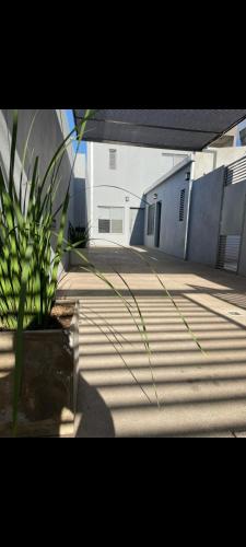 a plant in a pot in front of a building at Caseros in General Alvear