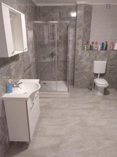 a bathroom with a shower and a sink and a toilet at Apartments with parking space Zavalatica, Korcula - 545 in Zavalatica