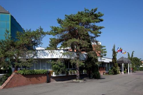 a building with a tree in front of a street at Hotel & Loisir Le Ruote in Roveleto