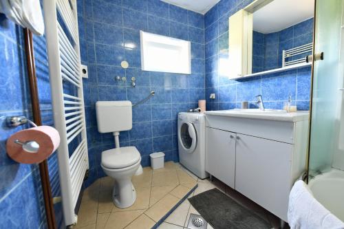 ein blau gefliestes Bad mit WC und Waschbecken in der Unterkunft Apartments with a parking space Rakovica, Plitvice - 20595 in Rakovica