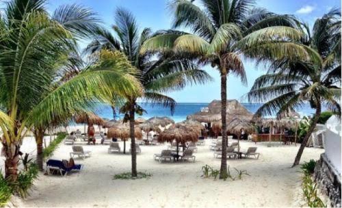 una playa con sillas, palmeras y el océano en BALAM Playa - 15Th Ave en Playa del Carmen