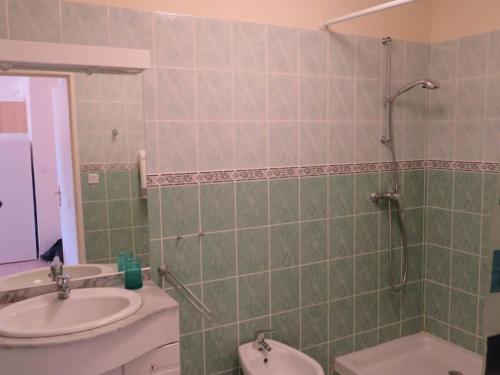 une salle de bain avec un lavabo, des toilettes et une douche dans l'établissement Spacieux T2 avec Loggia à 800m de la Plage, Parking et Forfait Ménage Inclus - Bormes-les-Mimosas - FR-1-610-12, à Bormes-les-Mimosas