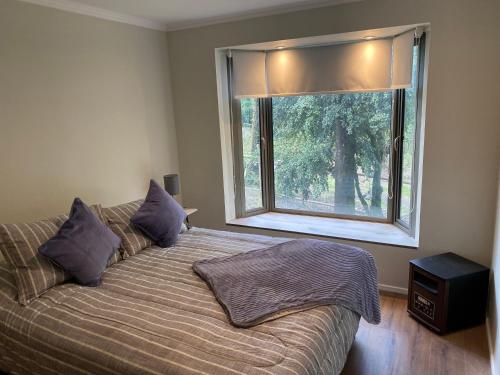 um quarto com uma cama e uma janela grande em Hermoso departamento en Pucón em Pucón