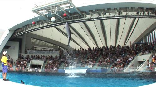 a crowd of people watching a water show in a stadium at Reisenkaku Hotel Kawabata in Fukuoka