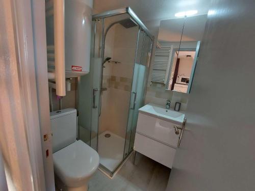 une salle de bain avec une douche, des toilettes et un lavabo dans l'établissement Maison Climatisee 4 Couchages avec Terrasse et Parking à 300m de la Plage - FR-1-326-744, à Marseillan