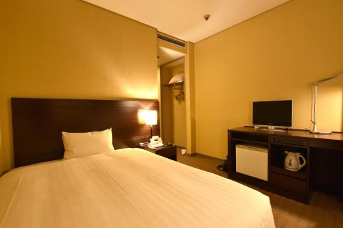 a hotel room with a bed and a television at Hotel Nikko Tsukuba in Tsukuba