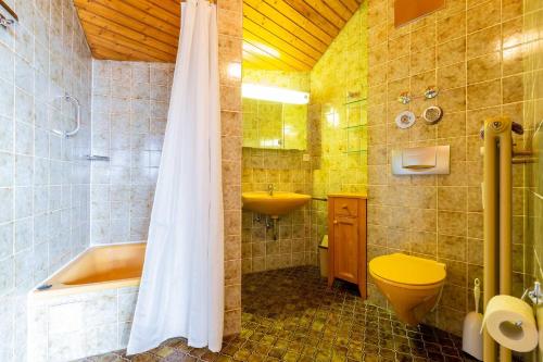 ein Bad mit einem Waschbecken, einem WC und einer Dusche in der Unterkunft Ferienwohnpark Immenstaad am Bodensee Maisonette-Wohnung 53 27 in Immenstaad am Bodensee