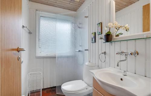 a bathroom with a white toilet and a sink at Nice Home In Thyholm With Wifi in Thyholm