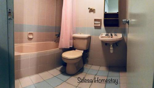 ein Badezimmer mit Toilette, Waschbecken und Badewanne in der Unterkunft THE GREEN @SELESA HILLHOMES BUKIT TINGGI BENTONG in Bentong