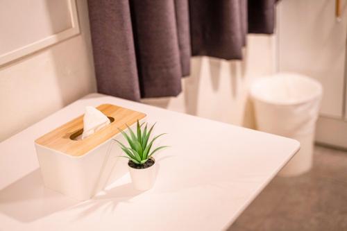 a bathroom with a white sink with a plant on it at Seoul Mansion Guesthouse in Seoul