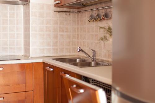 Η κουζίνα ή μικρή κουζίνα στο Apartment Skocibusic