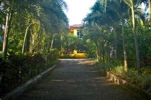 Zahrada ubytování Villa Ma'Rasai