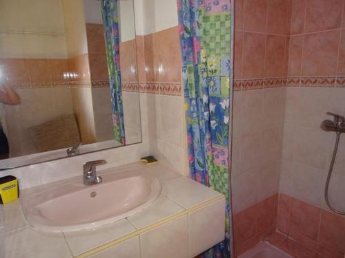 une salle de bain avec un lavabo et une douche dans l'établissement Charmant T2 à Giens avec grande terrasse, piscine et à proximité des plages - FR-1-335-160, à Hyères