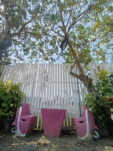 a group of pink flower pots next to a fence at Saan Rak Resort in Prachuap Khiri Khan