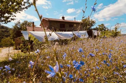 Κήπος έξω από το B&B Luna e Stelle